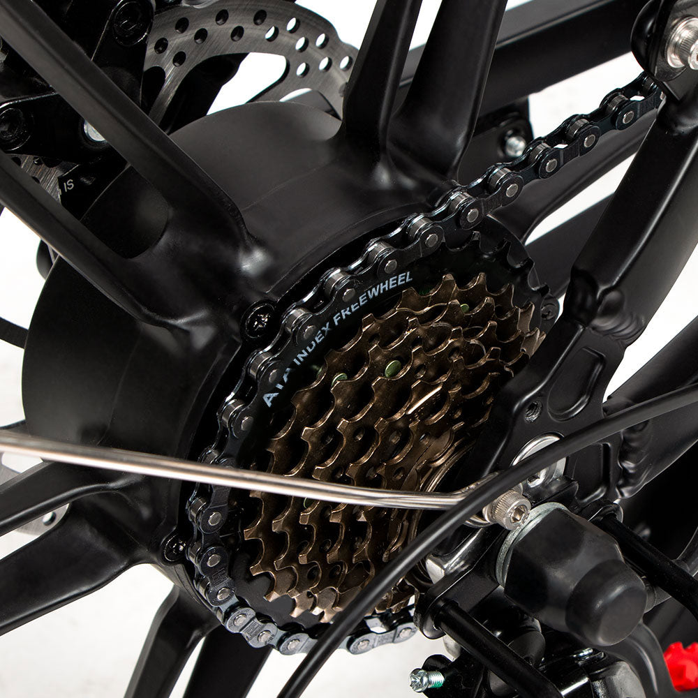 SAMEBIKE 20LVXD30-I