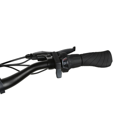 SAMEBIKE RS-A01 Pro